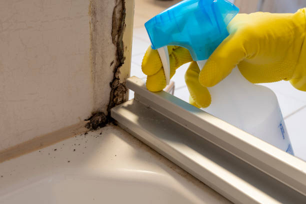 Why You Should Choose Our Mold Remediation Services in Pompton Lakes, NJ